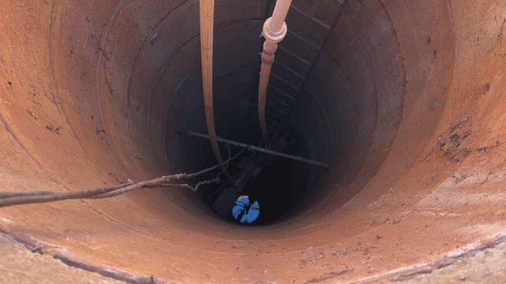 Araçatuba-SP: Cachorro é içado com corda após cair em poço de cerca de 20 metros de profundidade