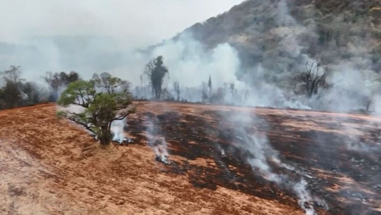Incêndio atinge área de 240 hectares próxima da SP-225 em Analândia