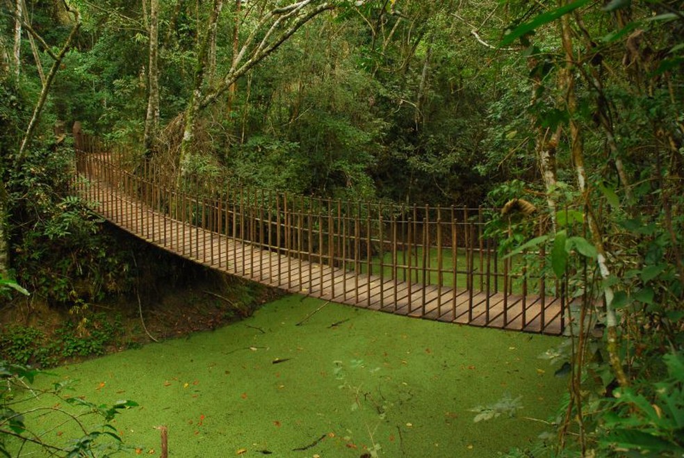 Parque Estadual do Morro do Diabo comemora 80 anos de história e  conservação | Presidente Prudente e Região | G1