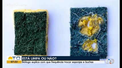 Biólogo explica com que frequência se deve trocar esponjas e buchas; veja