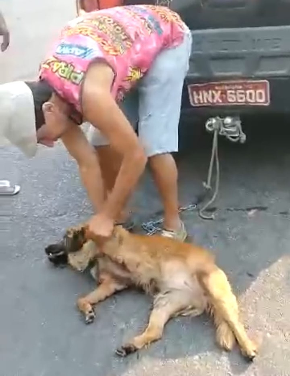 Vídeo: mulher denuncia homem a cavalo que puxava cachorro amarrado - Gerais  - Estado de Minas