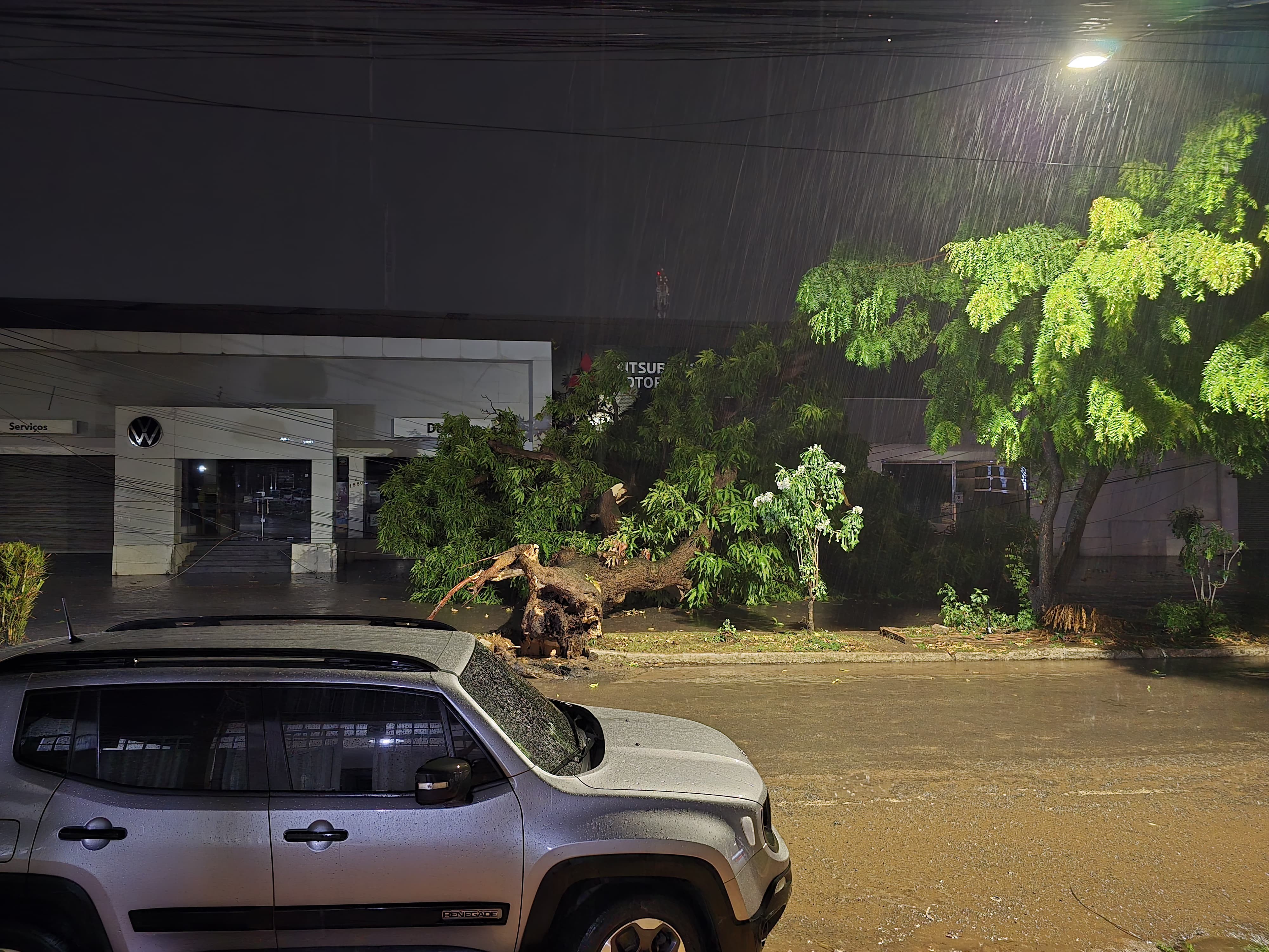 Árvore cai na avenida Mendonça Furtado durante temporal em Santarém
