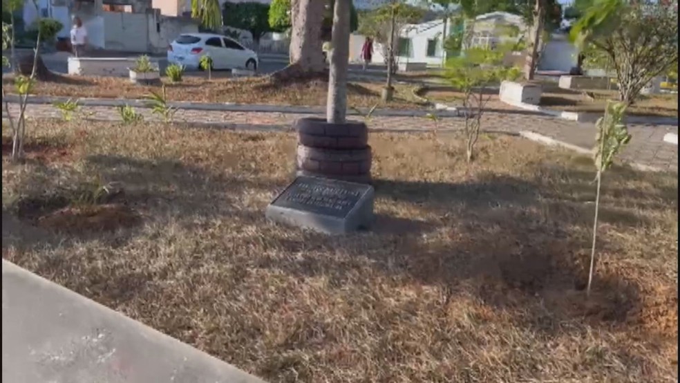 Familiares homenageiam homem com lápide em praça pública na Bahia, mas retiram placa após polêmica — Foto: Reprodução/TV Oeste