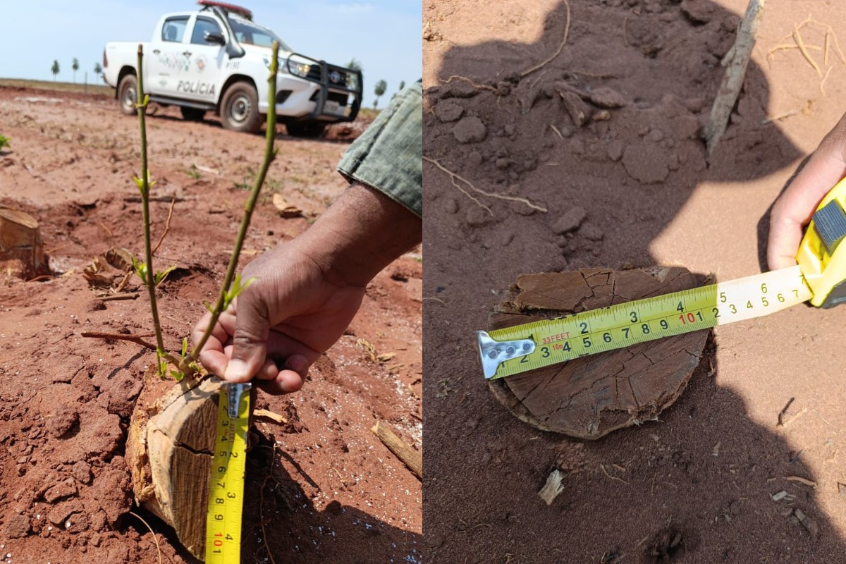 Você Não Tá Convidada pro Meu Bat Mitzvá!