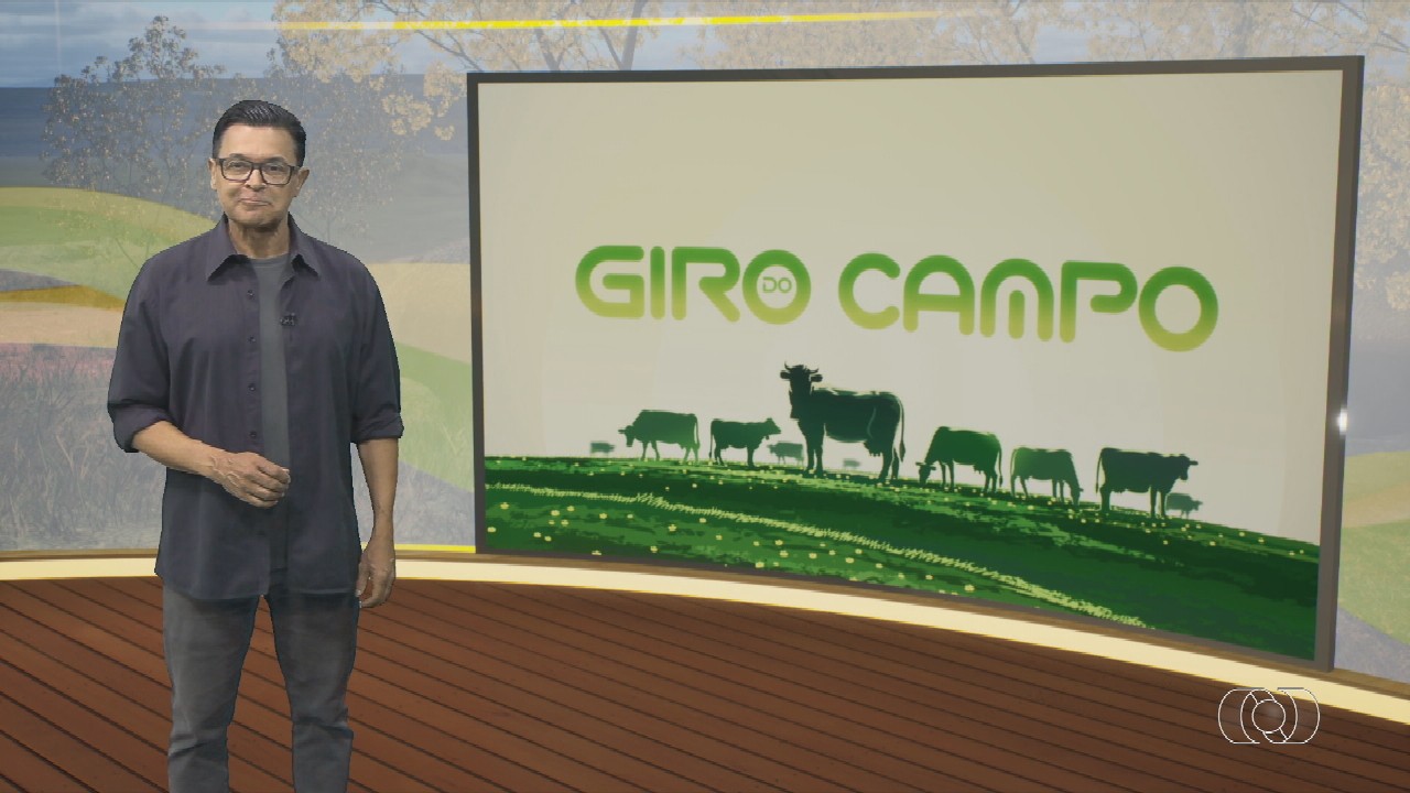 VÍDEOS: Jornal do Campo deste domingo, 26 de outubro de 2025 