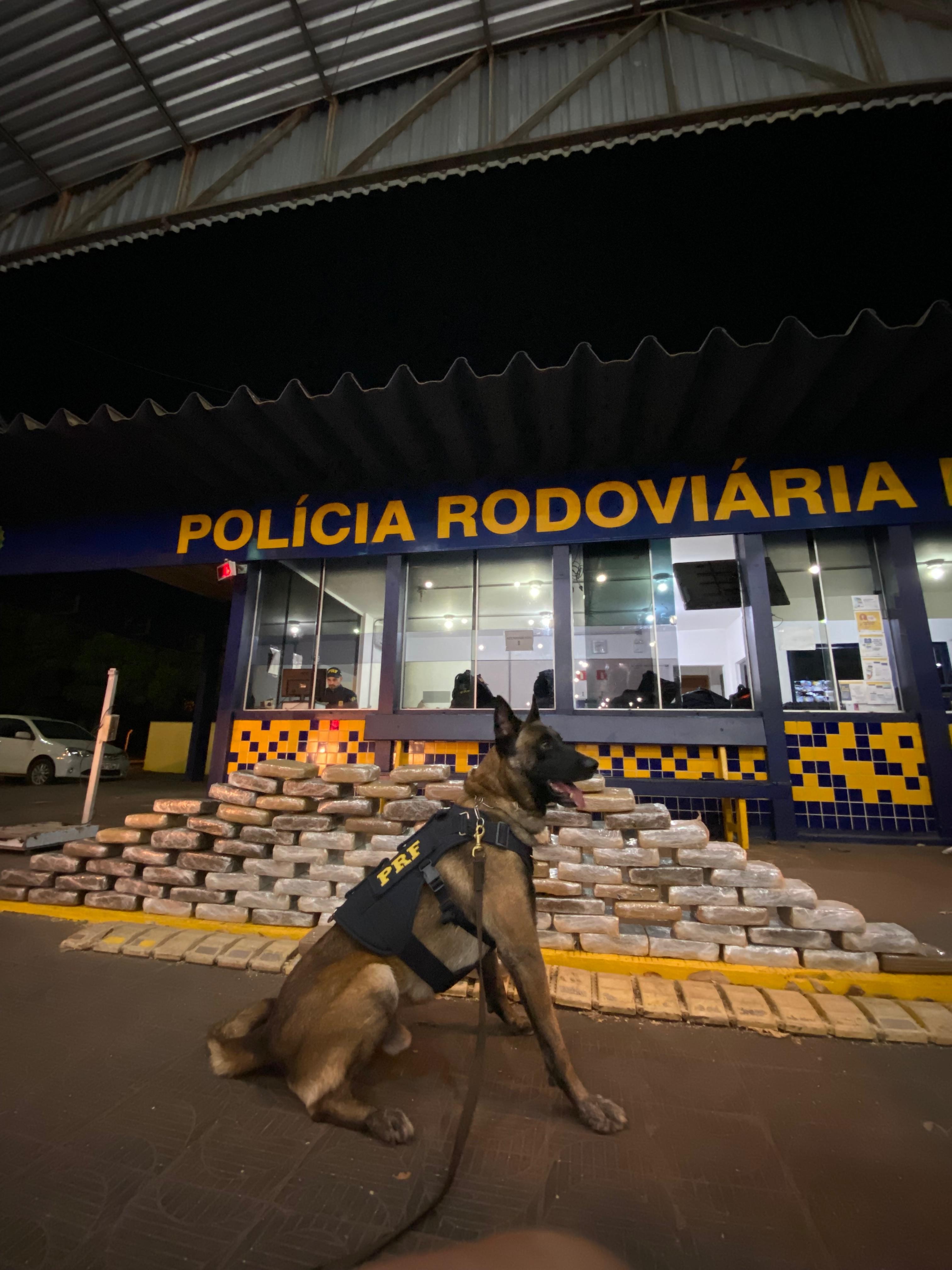 Homem é preso e adolescente é apreendida com mais de 110 kg de supermaconha em MT