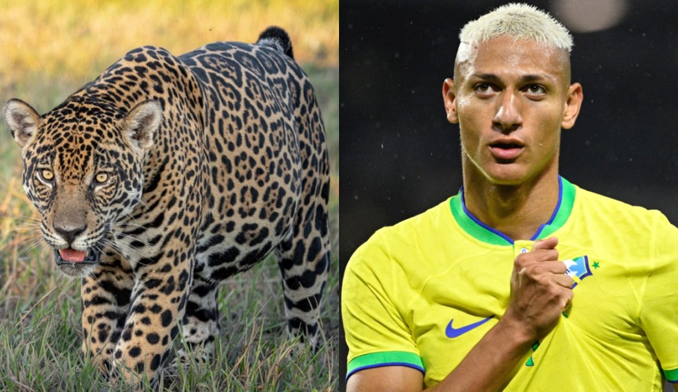 Richarlison e Acerola. â Foto: ReproduÃ§Ã£o