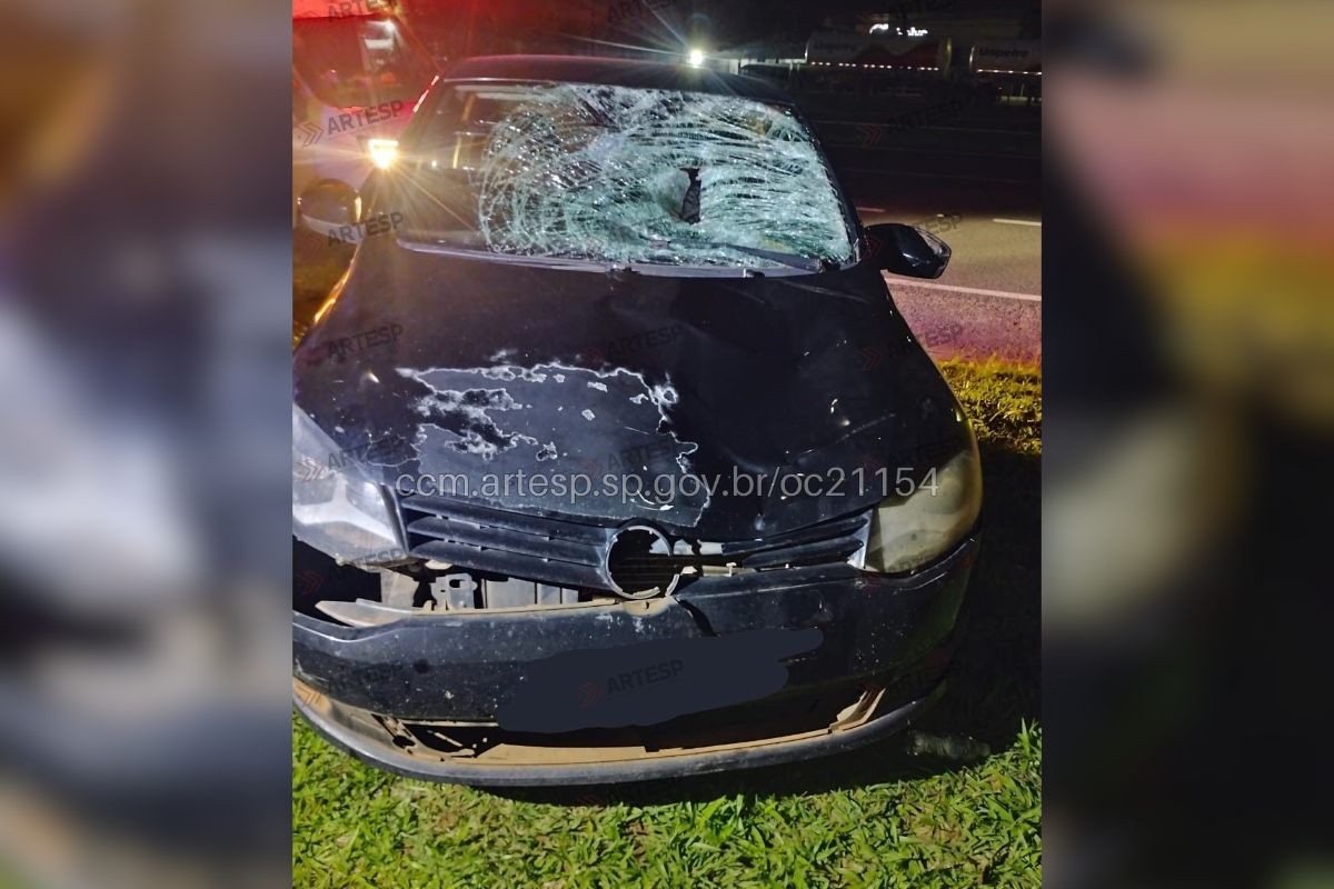 Pedestre morre atropelado na Rodovia Raposo Tavares em Regente Feijó