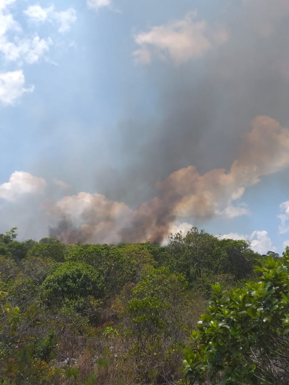 Fumaça provocada por incêndio nas florestas em Tepequém — Foto: Arquivo Pessoal/Cleucilene Viana