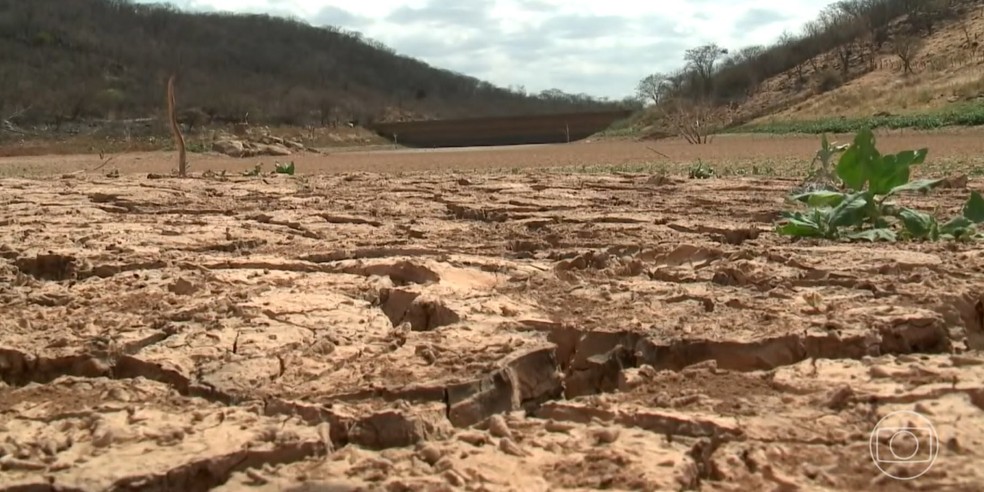 Quase metade do estado do Piauí está em alerta por causa da seca — Foto: Reprodução