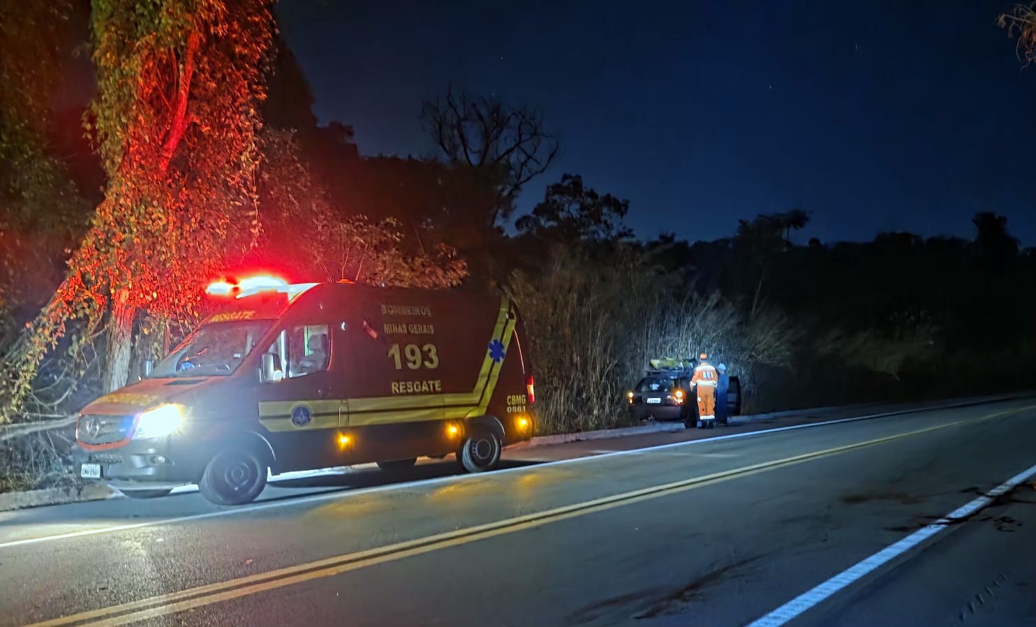 Carro atropela vaca solta na pista e três pessoas ficam feridas na BR-494, em Nova Serrana