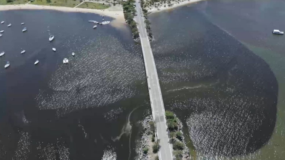 Tribunal de Contas do Esp&iacute;rito Santo aponta lan&ccedil;amento de esgoto em praias de Vit&oacute;ria &mdash; Foto: Reprodu&ccedil;&atilde;o/TV Gazeta