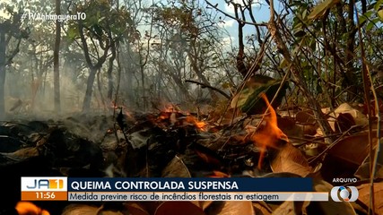 Queima controlada está suspensa no Tocantins