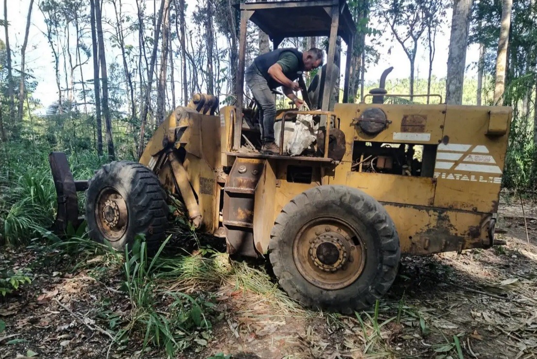 Homem é preso por desmatamento ilegal e tentativa de suborno no sudoeste do Pará
