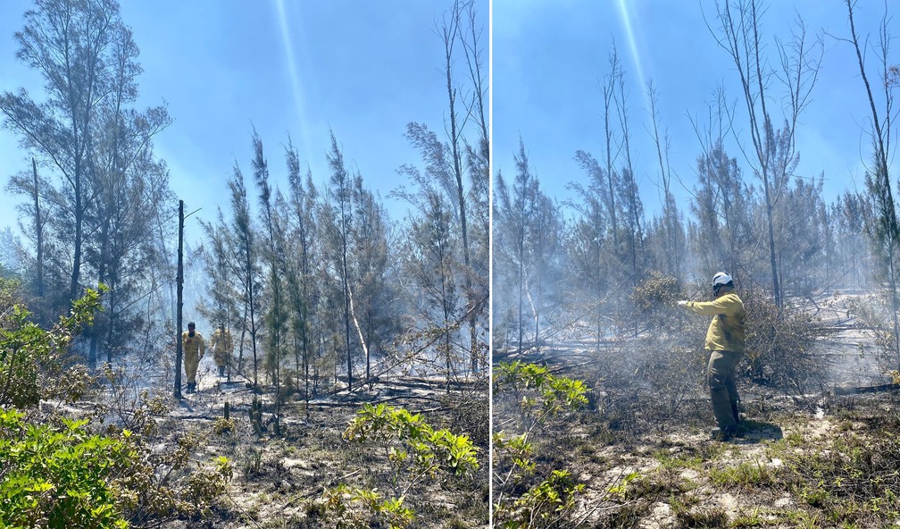 Combate ao fogo no Parque Natural Municipal da Restinga da Massambaba, em Arraial do Cabo — Foto: Vanessa Rodrigues e Juliano Andrade/Divulgação Prefeitura de Arraial do Cabo