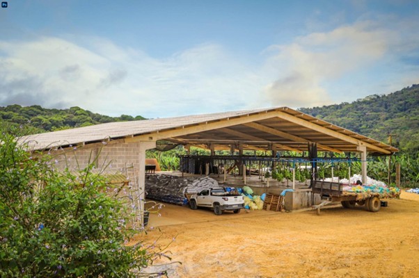 Produtores do Vale do Ribeira modernizam campo e trocam madeira por concreto
