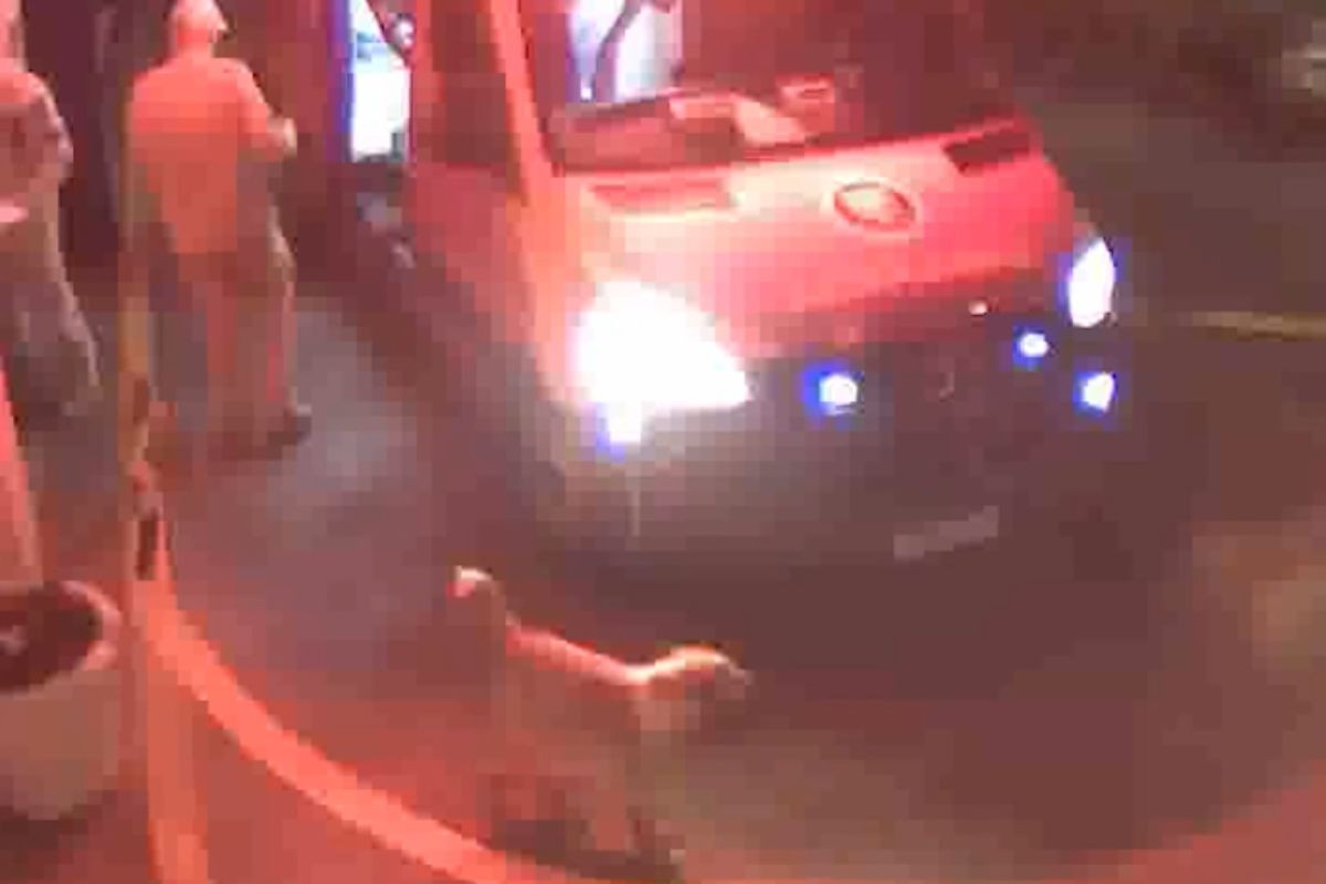 VÍDEO: cachorro se recusa a abandonar tutor ferido, entra na ambulância e espera na porta de hospital até ele ser liberado, no PR