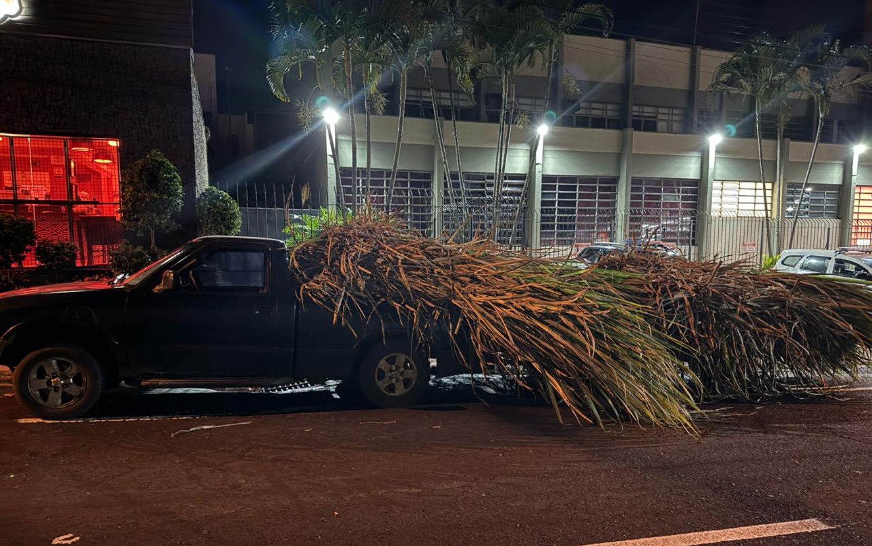 Dois homens são presos suspeitos de furtar 6 toneladas de cana-de-açúcar de uma fazenda em Cristais Paulista