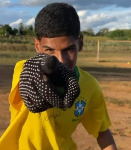 Figurinha dourada de R$ 9 mil do Neymar chega à Copa valendo R$ 400 -  23/11/2022 - UOL Copa 2022
