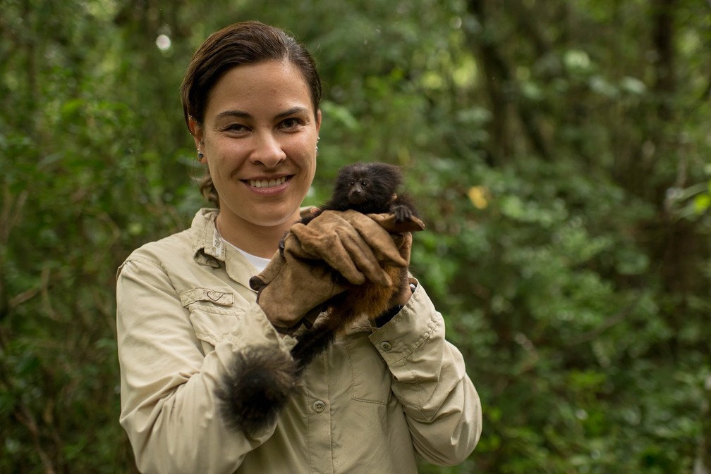 Gabriela Cabral Rezende, pesquisadora que atua no Programa de Conservação do Mico-Leão-Preto — Foto: Katie Garrett