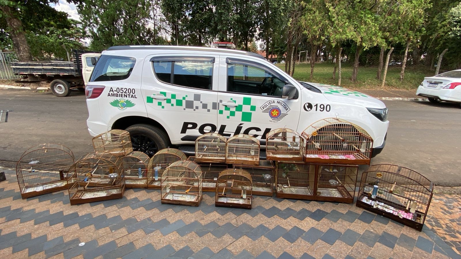 Homem é multado em R$ 9 mil por manter 18 pássaros silvestres em cativeiro em Santa Bárbara d'Oeste