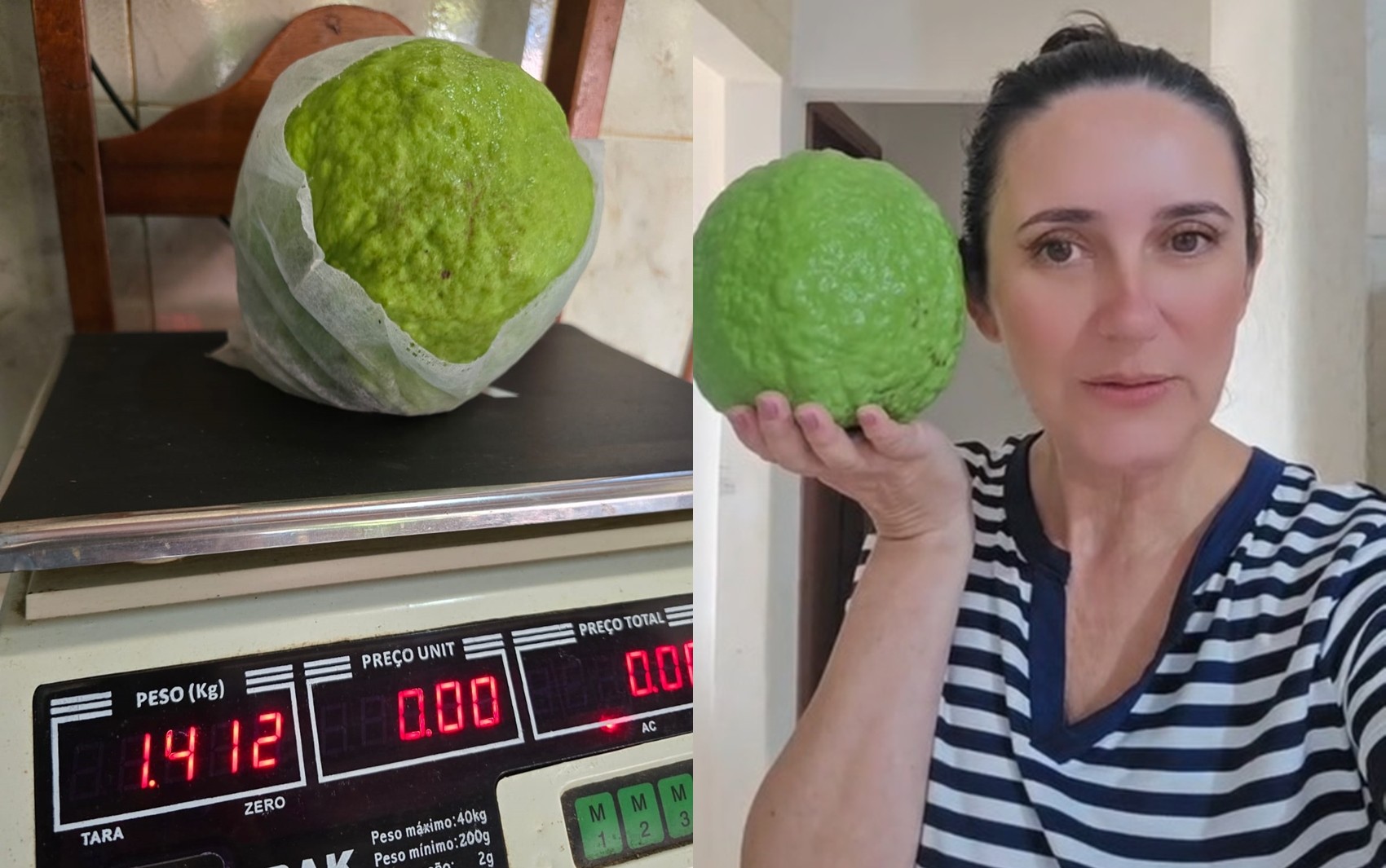 Goiaba gigante de quase um quilo e meio impressiona, em Goiás