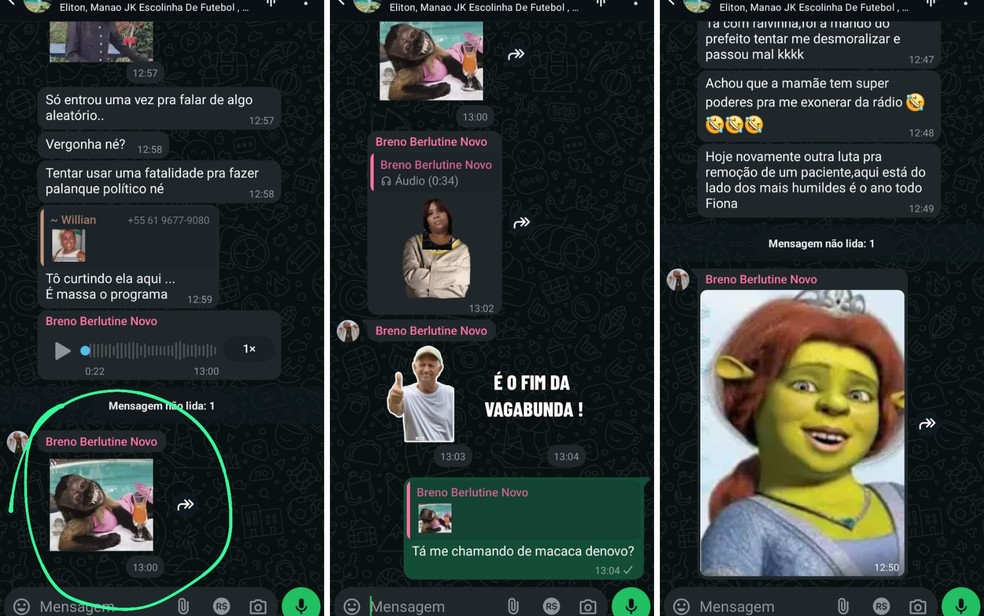 Segunda vítima, ofensas também foram feitas em grupo de mensagens, com postagens de imagens de macaco e da personagem Fiona pelo radialista. — Foto: Reprodução/TV Anhanguera