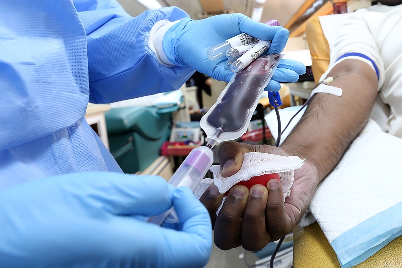 Dia do Doador de Sangue: Mensagem para compartilhar e agradecer