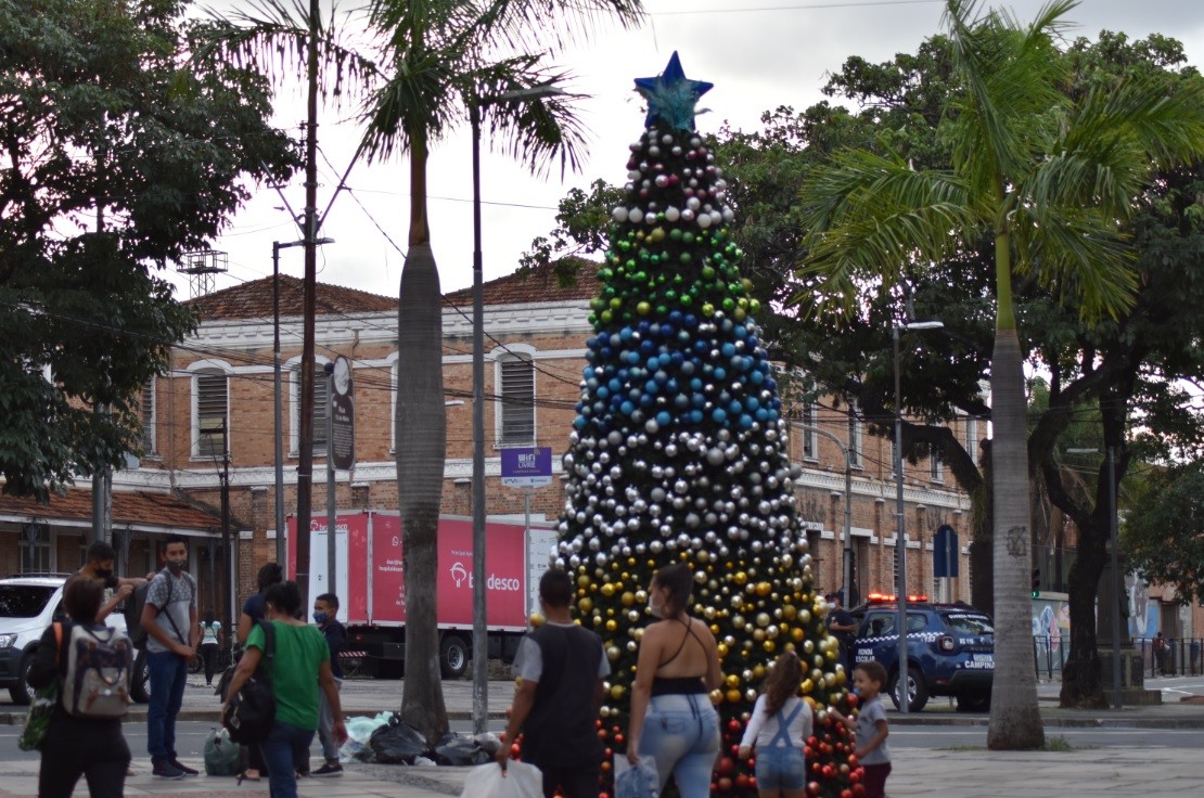 Tiranossauro Rex ganha suéter para celebrar o Natal no Museu de