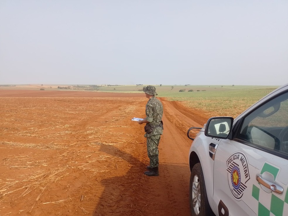 Fazendeira é multada por uso de fogo em plantação de cana-de-açúcar em Pacaembu (SP) — Foto: Polícia Ambiental