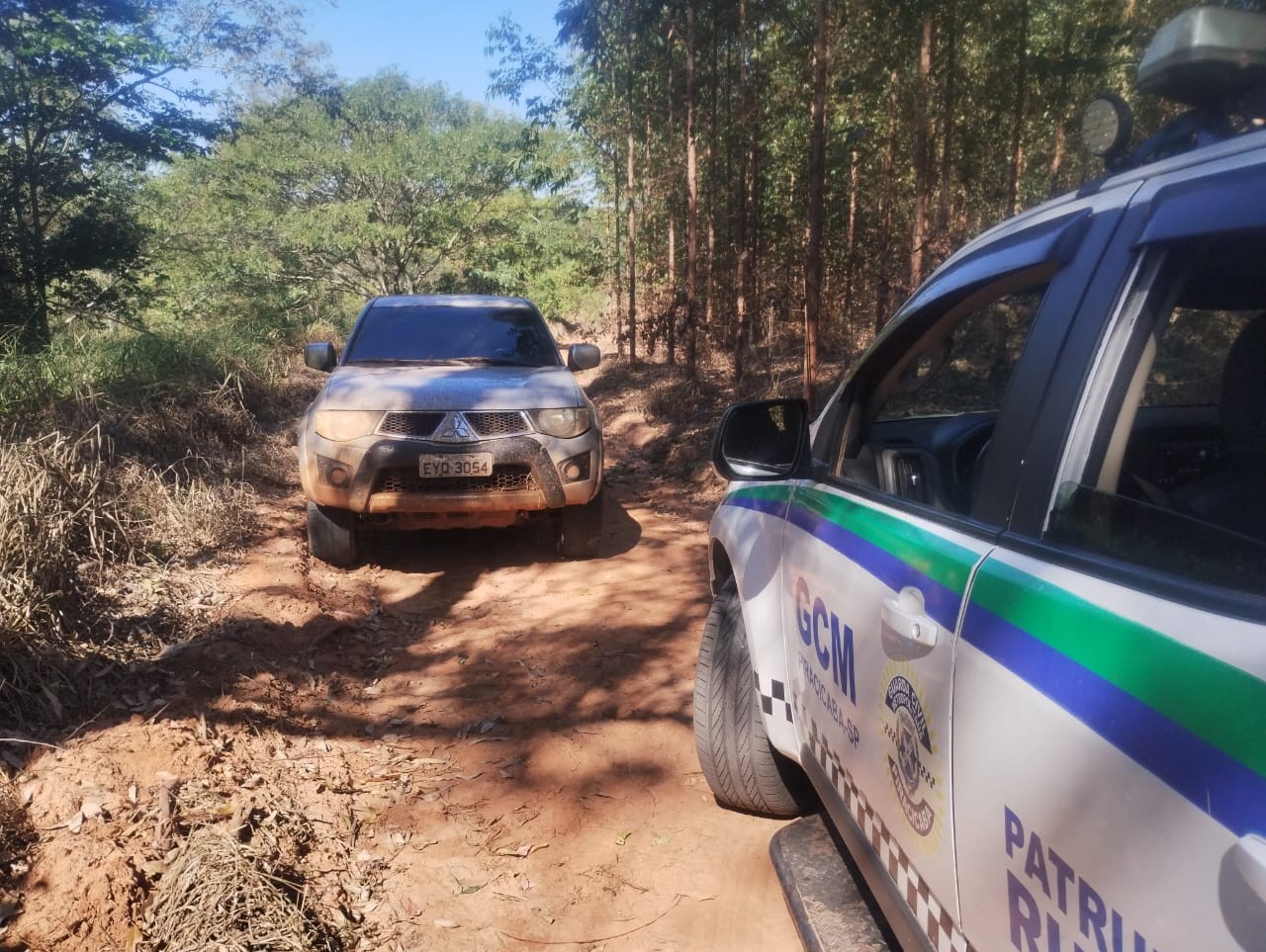 GCM apreende carregamento de drogas em área rural após ouvir disparos em plantação de Piracicaba 