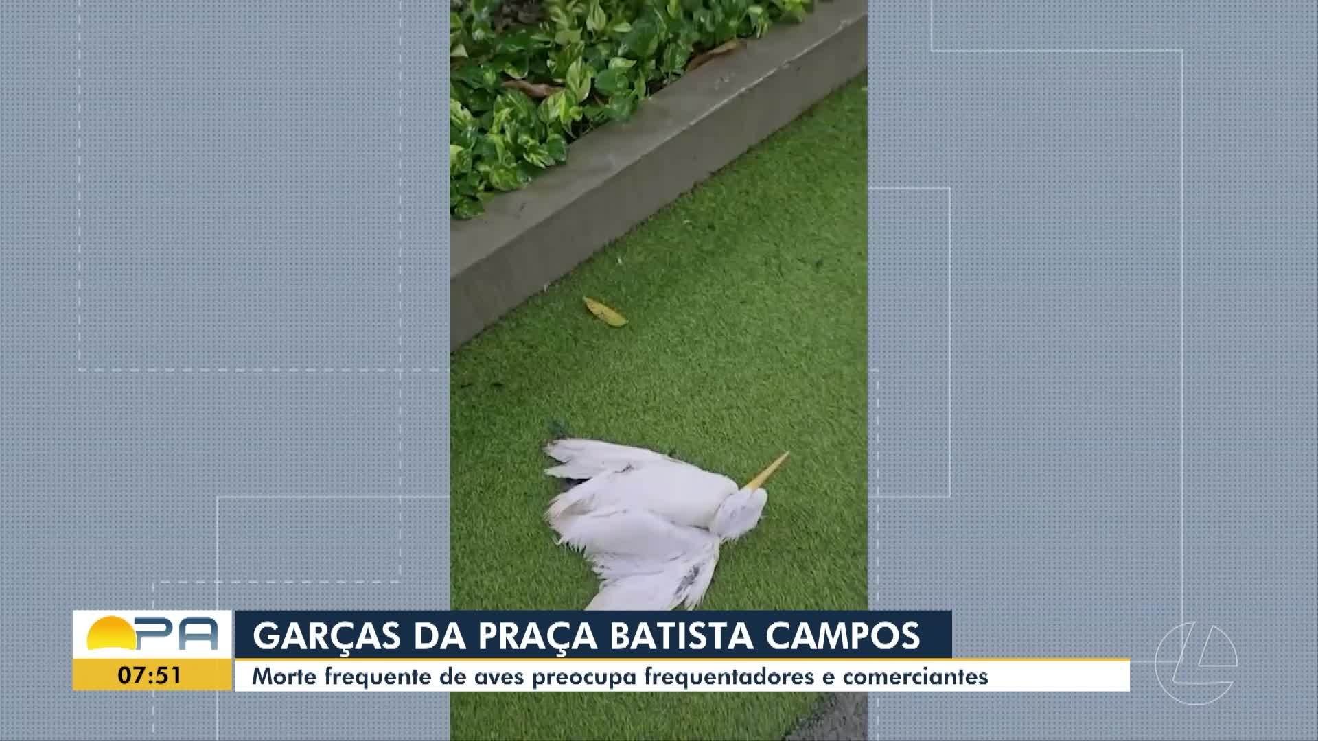 VÍDEOS: BDP de quinta-feira, 4 de junho de 2026 