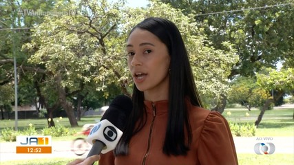 Oportunidade: IEL está com vagas de estágio abertas para estudantes
