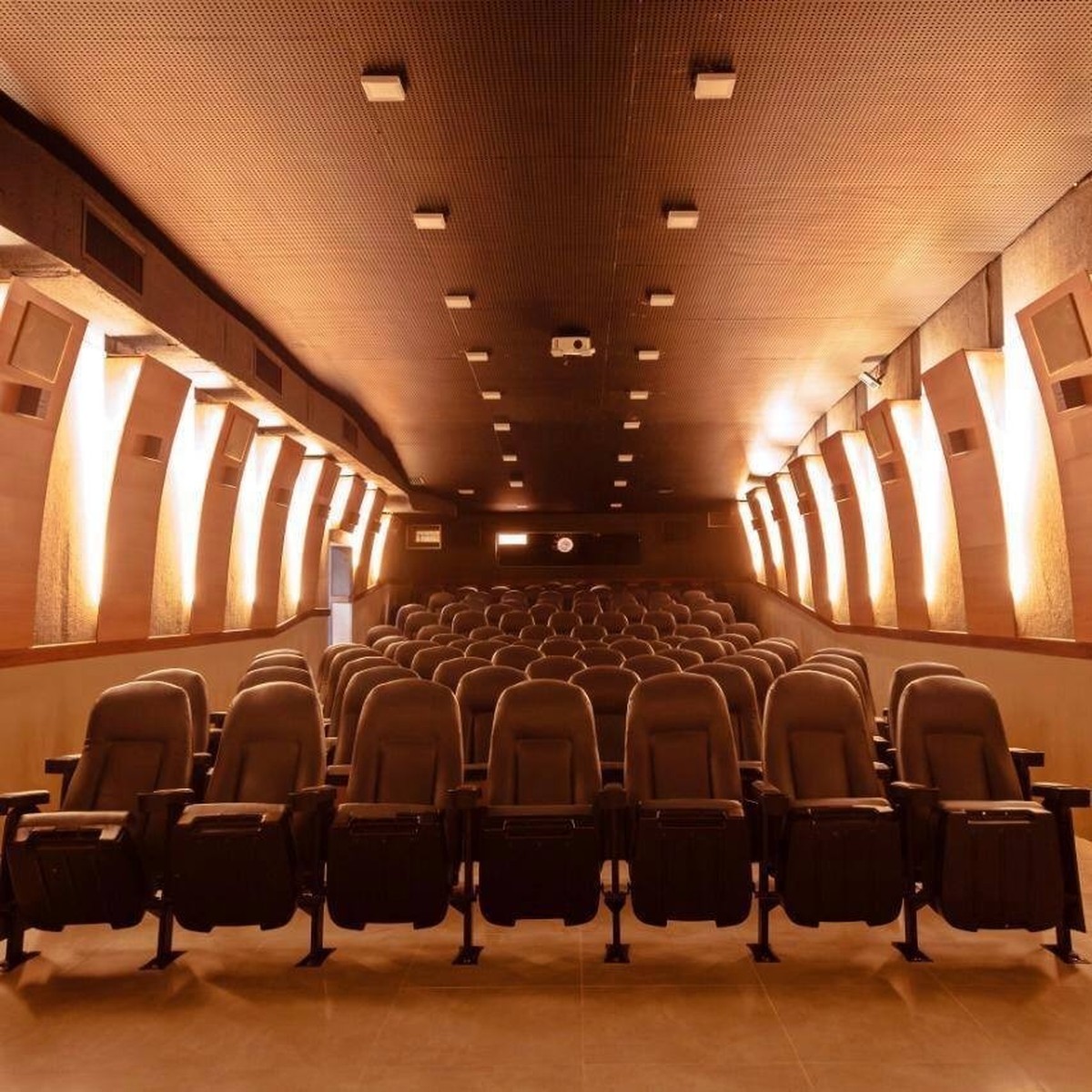 Petrópolis e Itaperuna têm cinema solidário com um troca de 1kg de feijão por ingresso