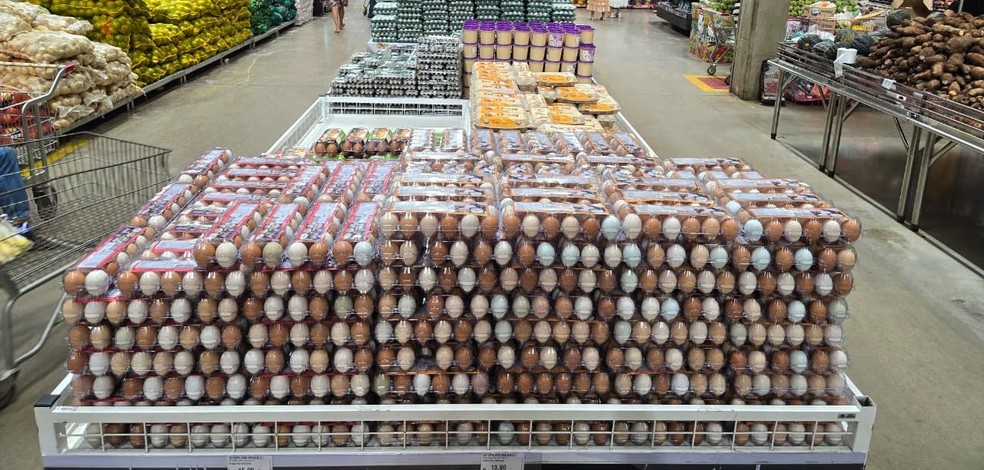 Ovos caipiras produzidos na zona rural de Palmas abastecem redes de supermercados da capital e de municípios próximos, garantindo oferta constante e frescor ao consumidor. — Foto: Acervo Granjas BS