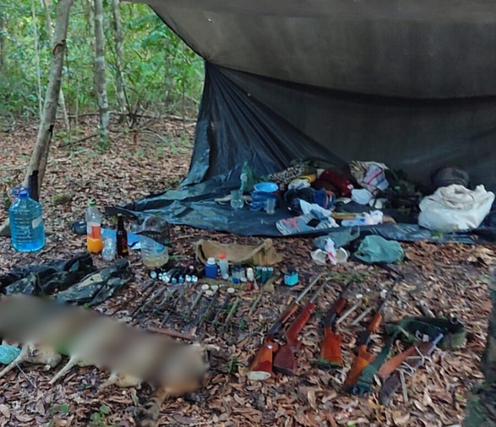 Acampamento foi encontrado em propriedade rural em Belmonte — Foto: Companhia Independente de Polícia de Proteção Ambiental Porto Seguro (CIPPA/PS)