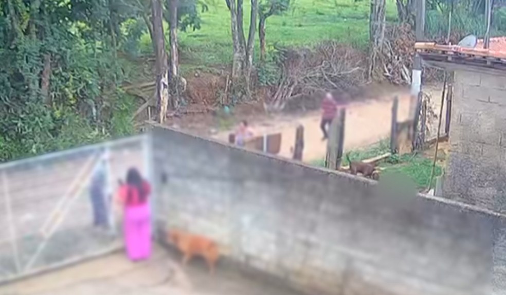 Bebê de 11 meses morre após ataque de pitbull no interior de SP