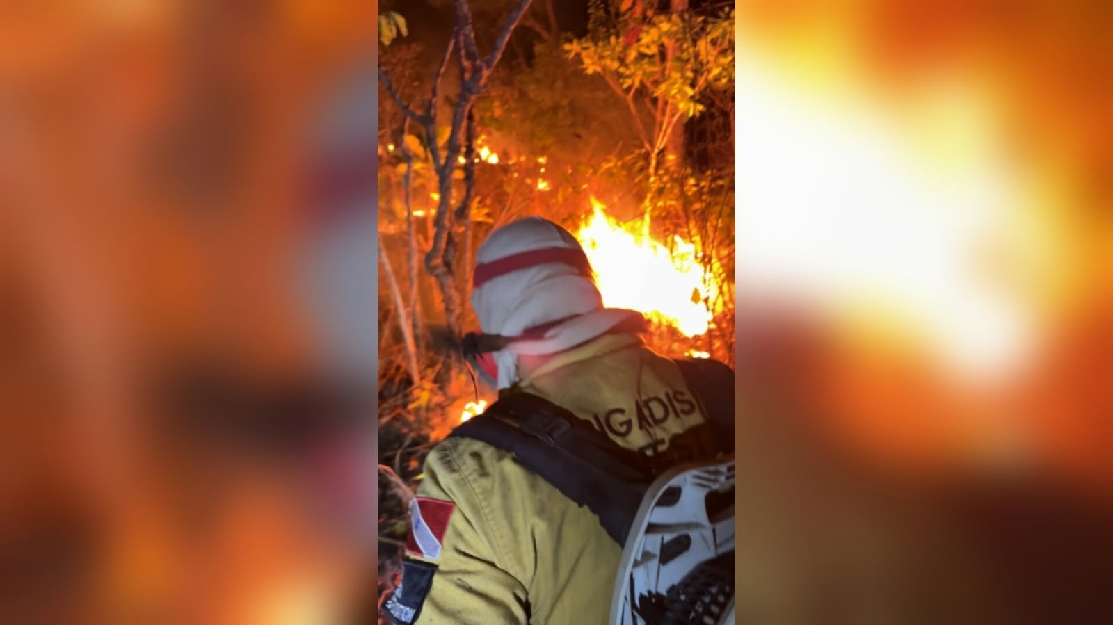 Incêndio de grandes proporções atinge Área de Proteção Ambiental em Alter do Chão, em Santarém — VÍDEO