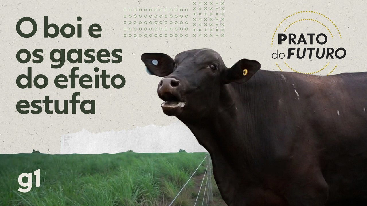 
Contaminação por agrotóxicos cresce quase 10 vezes no Brasil no 1º semestre, aponta relatório