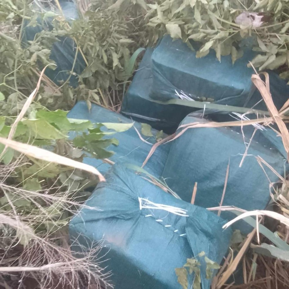Pacotes com entorpecentes encontrados na mesma região em que avião estava danificado há dois dias — Foto: Polícia Civil