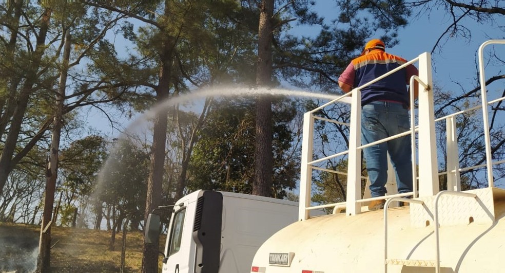 Corpo de Bombeiros registra aumento de 11,5% em ocorrências de incêndio em vegetações na região de Presidente Prudente (SP) — Foto: Defesa Civil