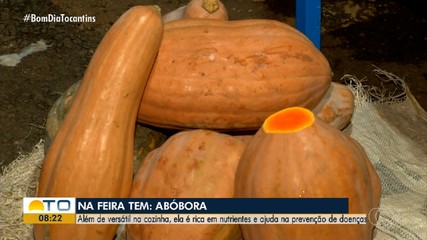 Na Feira Tem: abóboras de diferentes formas atraem clientes
