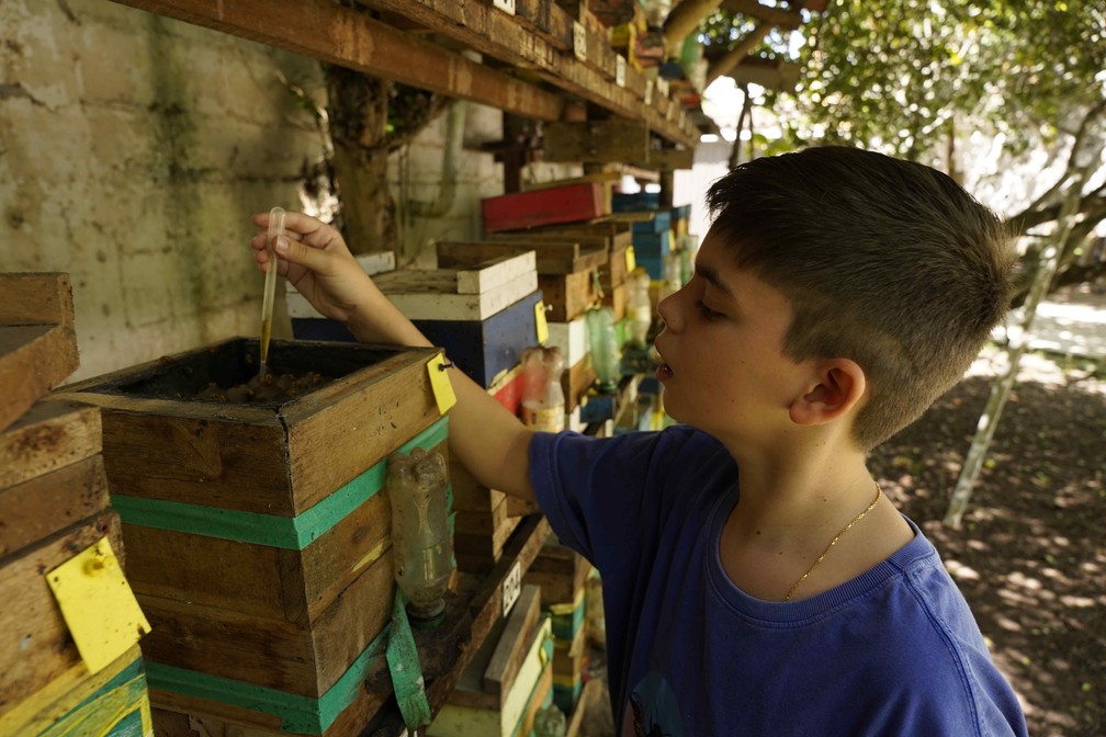 Geraldo Enrico Tigre Herzog, 11 anos, menino autista que encontrou nas abelhas uma forma de se socializar com o mundo — Foto: Ricardo Medeiros/Rede Gazeta