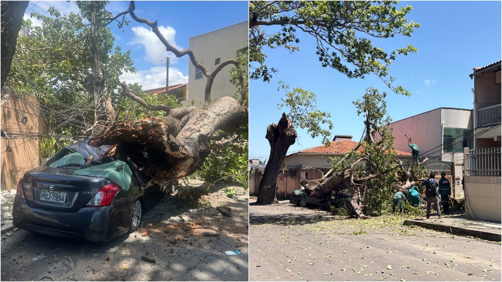 Árvore cai, atinge casa e poste, destrói carro e deixa moradores sem energia em Fortaleza; vídeo