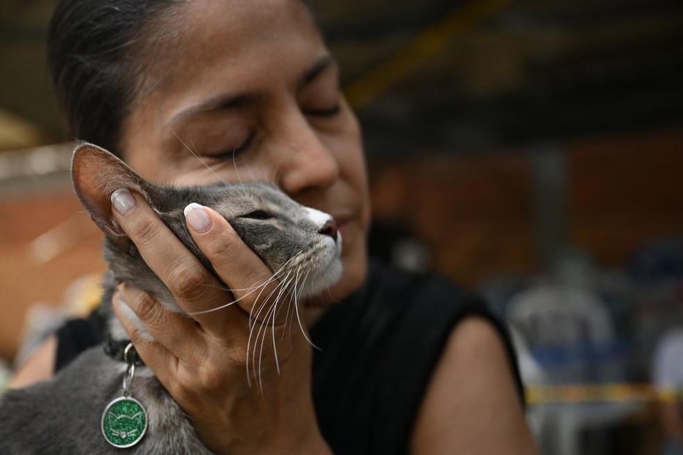 Vickye Giraldo abraça seu gato Polux após ser resgatado durante as buscas por sobreviventes depois do terremoto em Cali, Colômbia, em 12 de agosto de 2026. — Foto: RAUL ARBOLEDA/AFP