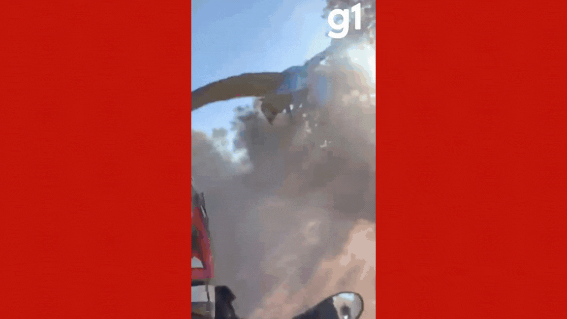 VÍDEO: arara-canindé pega 'carona' em carros e motos em estrada de MT