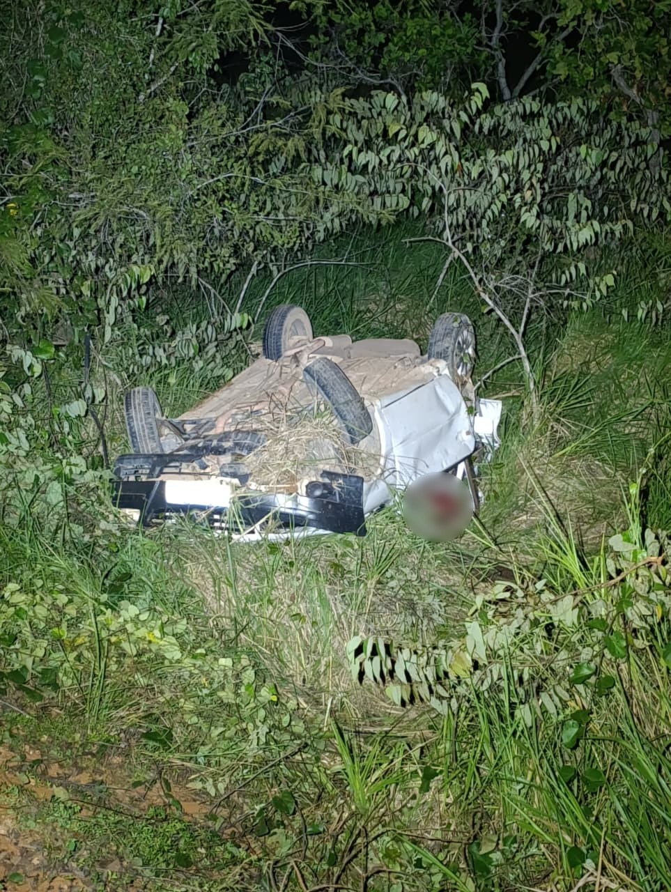 Guarda civil morre após capotamento de carro em vicinal de Alto Alegre, Norte de Roraima