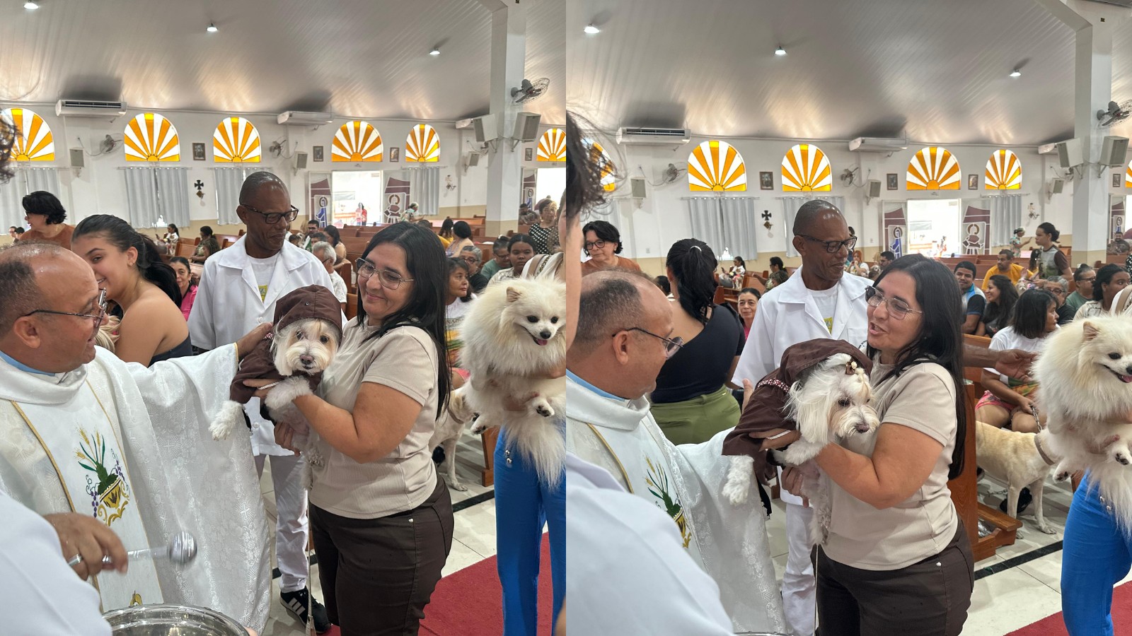 Vídeo: Animais recebem bênção em missa dedicada a São Francisco em Teresina