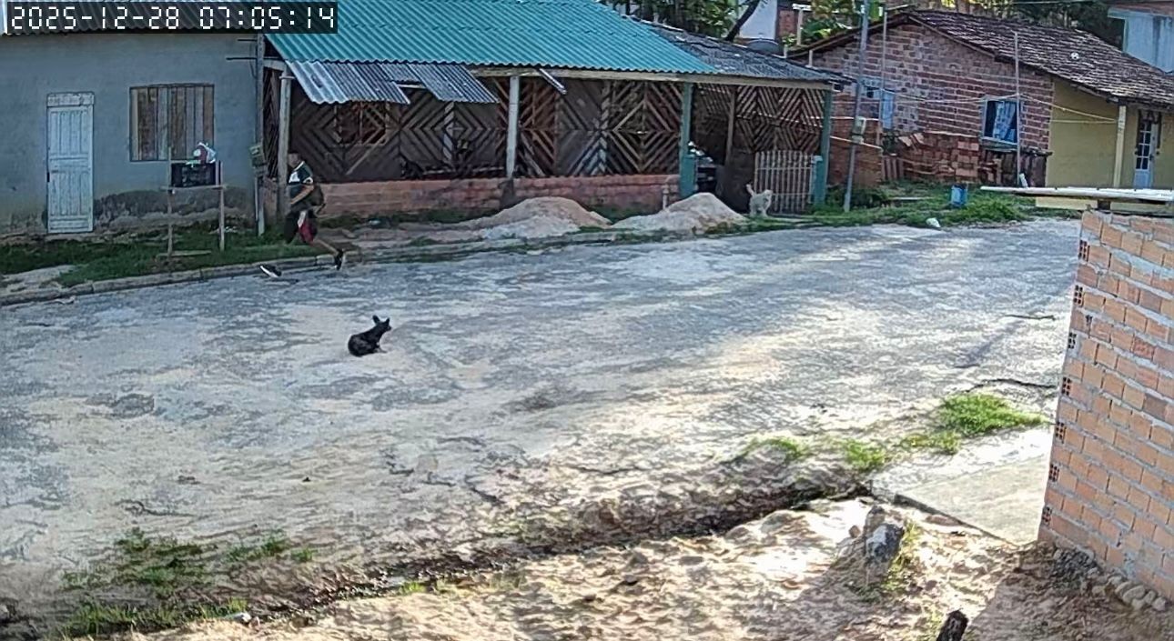 Homem é preso suspeito de atear fogo na companheira em Salinópolis, no Pará