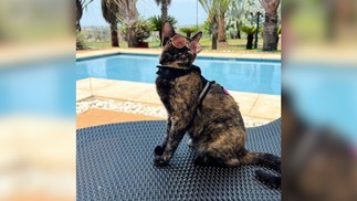 Vick, de Catanduva (SP), conquista seus fãs na web — Foto: Reprodução/Instagram